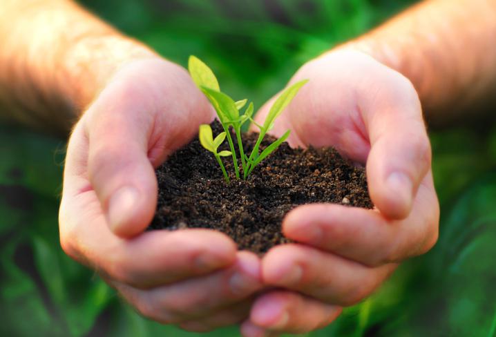 AGROHOMEOPATIA
