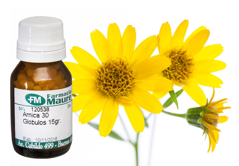 ARNICA MONTANA